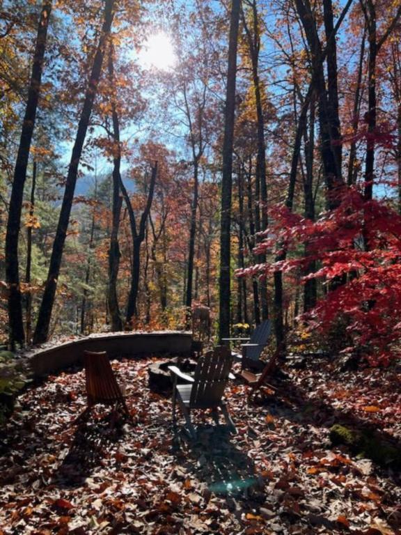 Vila Bear Crossing-Exciting Adventure Ahead! Hendersonville Exteriér fotografie